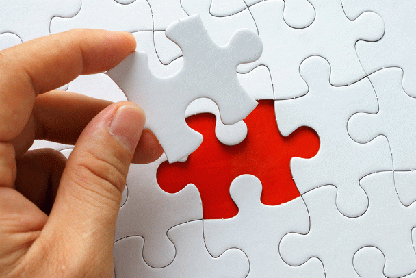 آشنایی کامل با سگ گلدن رتریور با شخصیت و ویژگی‌های آن به علاوه ویدیو